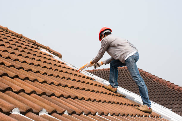 Best Emergency Roof Repair Services  in Williamsport, PA