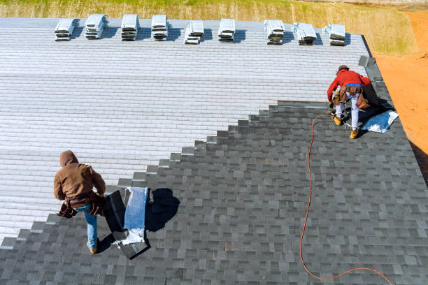 Best Roof Ventilation Installation  in Williamsport, PA